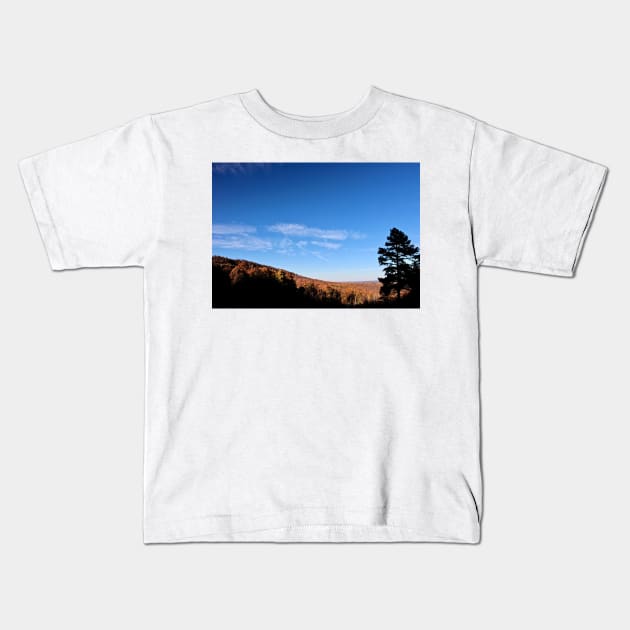 Autumn in Arkansas Kids T-Shirt by somekindofguru